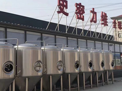 驻马店精酿啤酒设备厂—如何判断精酿啤酒设备的密封件需要更换？